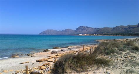 lutron marine mallorca|samaki mallorca in son serra de marina .